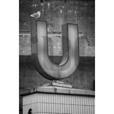 U U-Bahn1